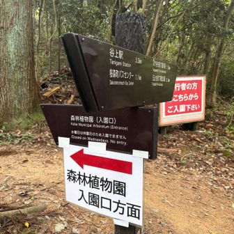 正門が工事中とかで、いつもと違うアプローチになっていた