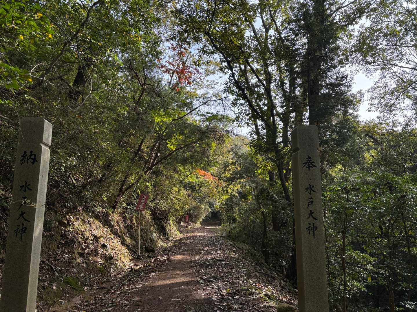 天下台山の西登山口から登ります
