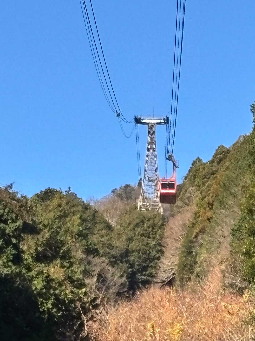 ロープウェイ
こんなアングルあるのね