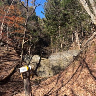 この登り口…急すぎ🤣