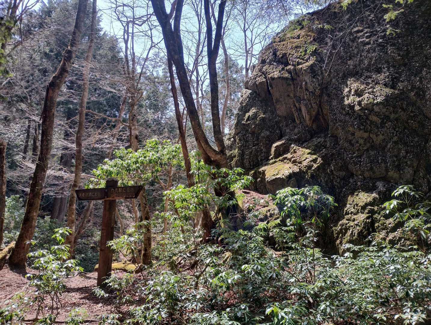 熊倉山 往復コースの写真