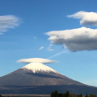 オレンジハット