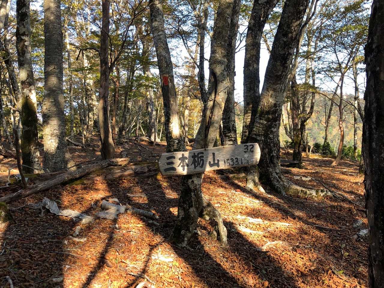 三本栃山 さんぼんとちやま ✨