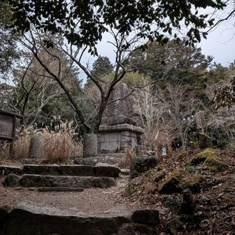 早朝のMZさんと立ち話。
ザーサイはいらないと振られる😅
なかなかお店では見ないお野菜なので
どうやって使うか分からないよね笑
中華料理に合います。
チンゲンサイに近い感じ。
チゲ鍋、キムチ鍋とか
ちゃんぽん、皿うどんなどかな。
ごま油でさっと炒め、中華だし、ごまとあわせてもよかった。
ベーコン、バター、醤油で炒めても美味しかったです。
工夫すれば使い方は無限大です😆
栄養価は高く、鉄分、ミネラル、食物繊維豊富！
