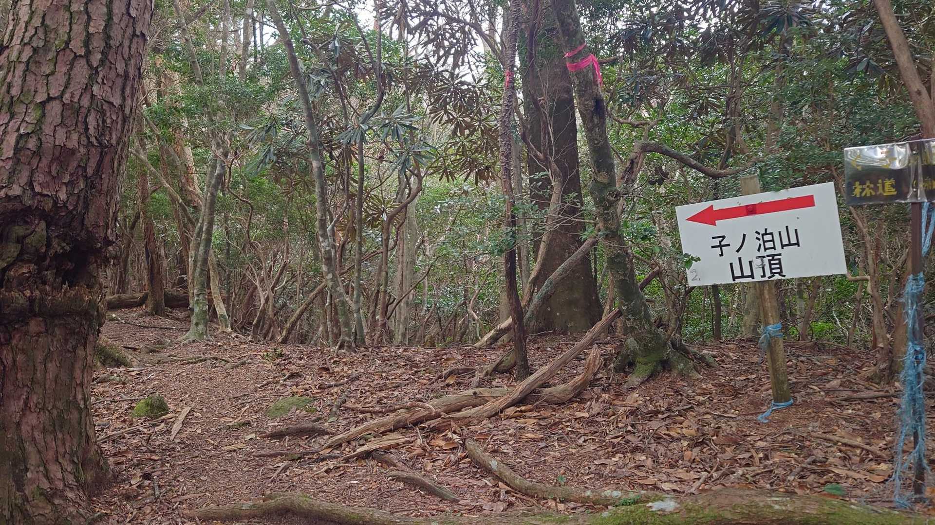 ここからしばらくほぼフラット✨️