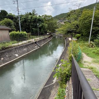 山科疏水！