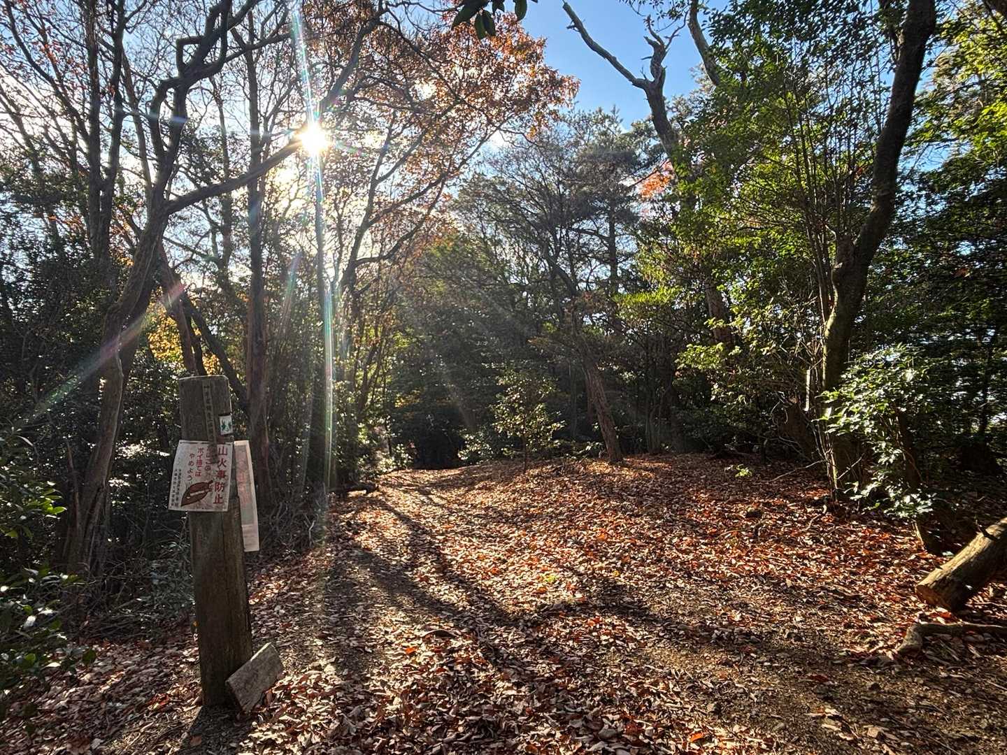 牛尾山かな　山頂票なし　頂感なし　展望なし
（もしかしたら山頂はこの先だったのかも）