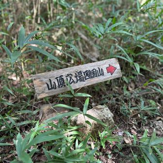 四国山へ向かいます😊