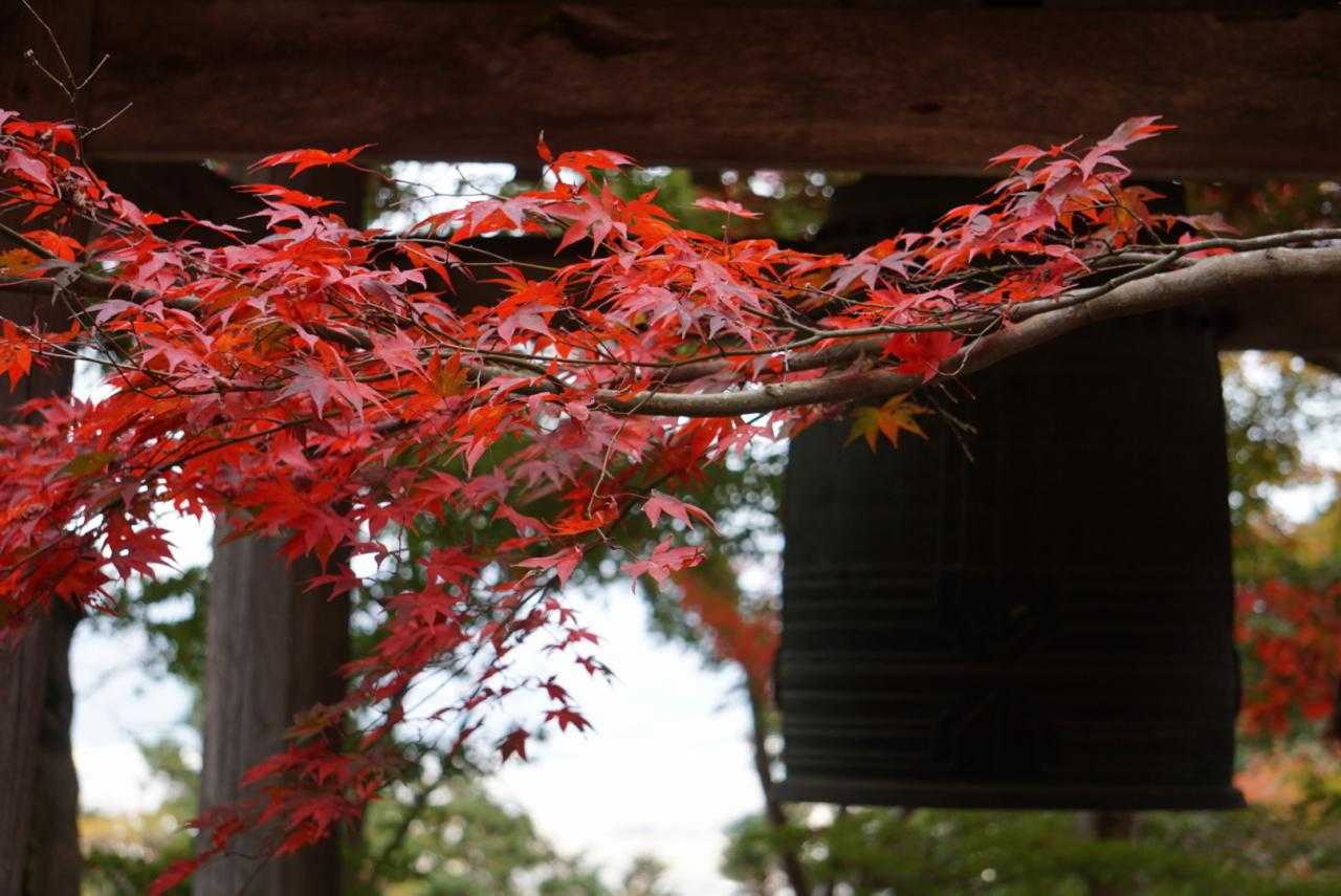 十三仏登山口-小脇山-箕作山-みつくり君休憩所-太郎坊山- 縦走コースの写真