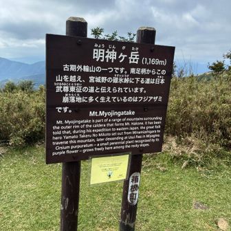 着きました、明神ヶ岳。お昼時、たくさんの人で賑わっていました。