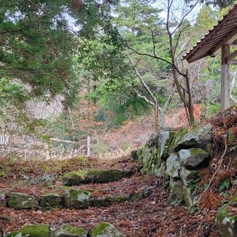 見覚えある敷地。１０年ぶりだわ