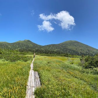 スケールの大きな気持ち良い景色です