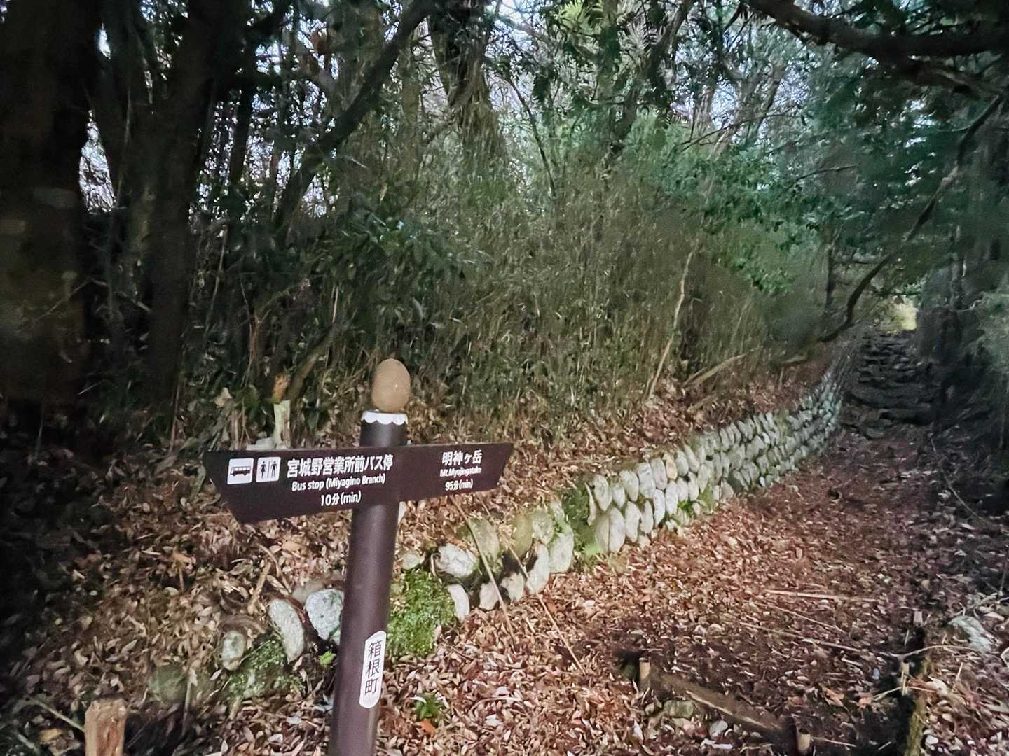 明神ヶ岳登山路🥾
ここで，登山路をメンテナンスを
してくださる方とお会いしました
雨が降り，倒木，枯れ枝，登山路階段を治す
との事でした，
綺麗に整備された登山路気持ち良く登れる
のはこの方々のおかげです
感謝をお伝えしました🙏