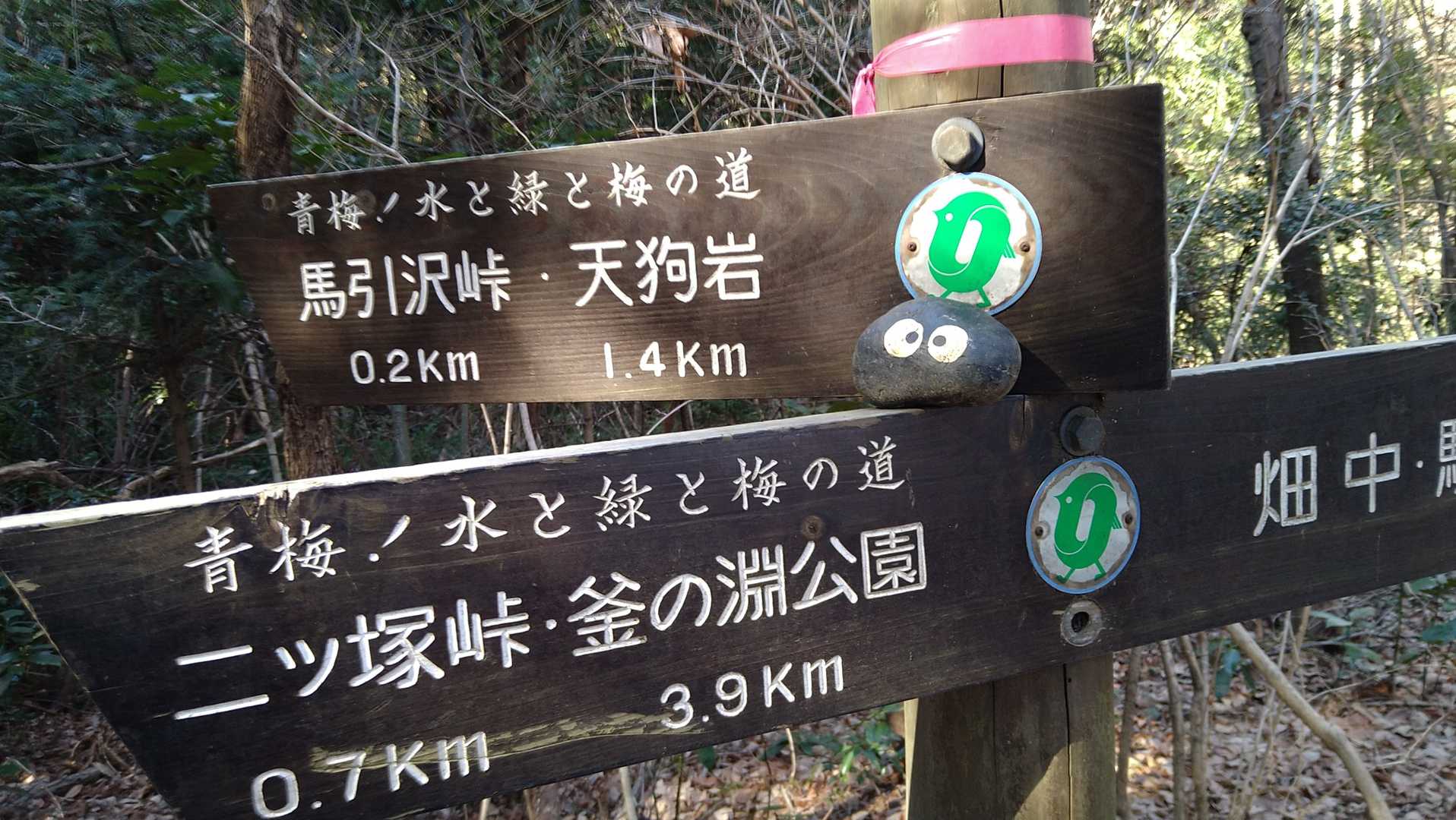 こんな所に！