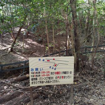 植物園の中に降りるか、県道に降りるかの案内がありました　植物園が閉園している時は出入り出来ないようです