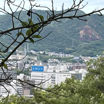 展望台下から福山城ちらり♪