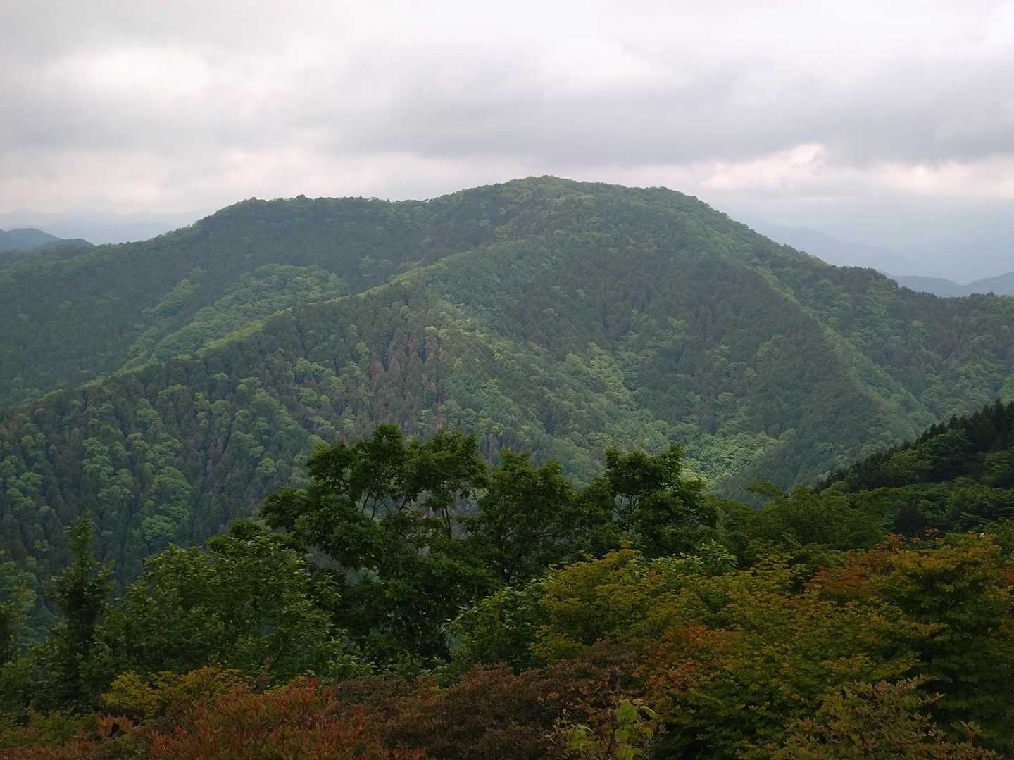 十二山-熊鷹山 往復コースの写真