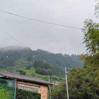 茶文字はモヤの中
スタート時点では☔️降っていなかったけれど