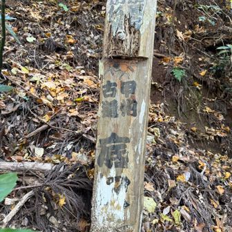 昔を偲ばせる標識