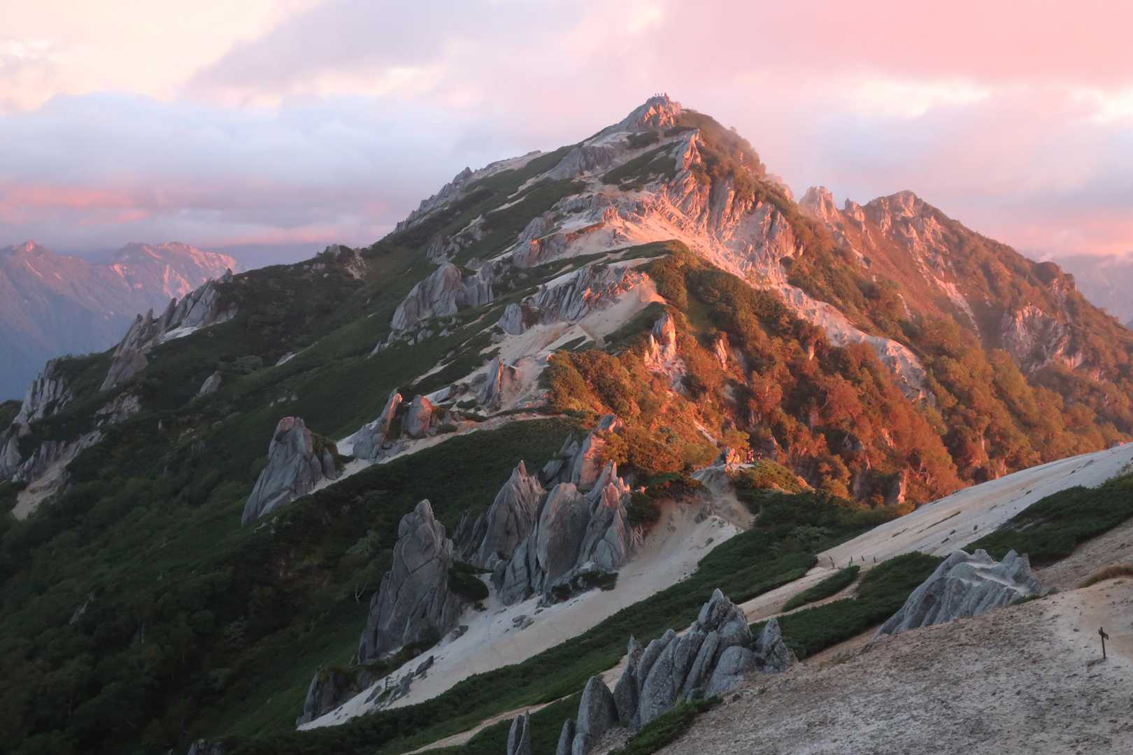 大下りノ頭 周回コースの写真