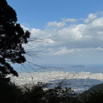 山頂とーちゃこ