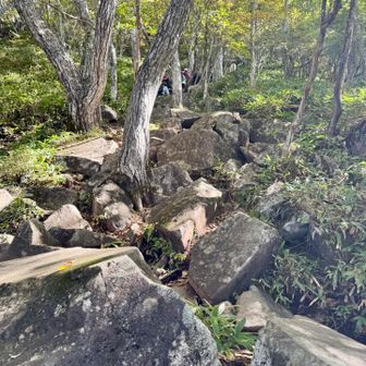 中っくらいの岩がゴロゴロ…何気にキツい
脚が重い…泣きそう😭