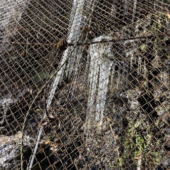 つらら！大作だ👏