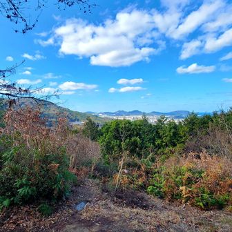 こちらも展望ポイント