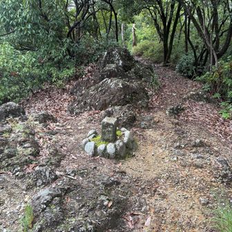 山頂✨