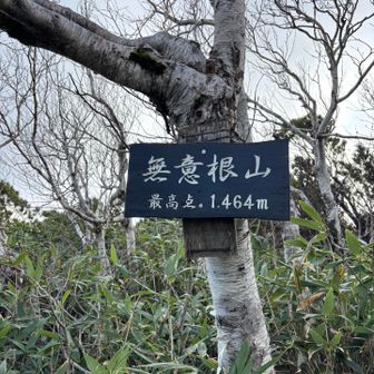 無意根山山頂🙌