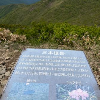 なるほど