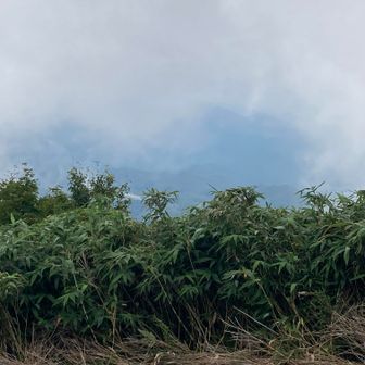 ガスがなければ烏ヶ山を眺めながらの縦走になるのであるが…