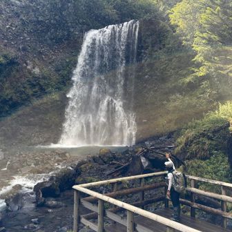 善五郎の滝
滝見台や手前の橋まで飛沫が飛んでくるので、じっとしていたら濡れてしまう🤭