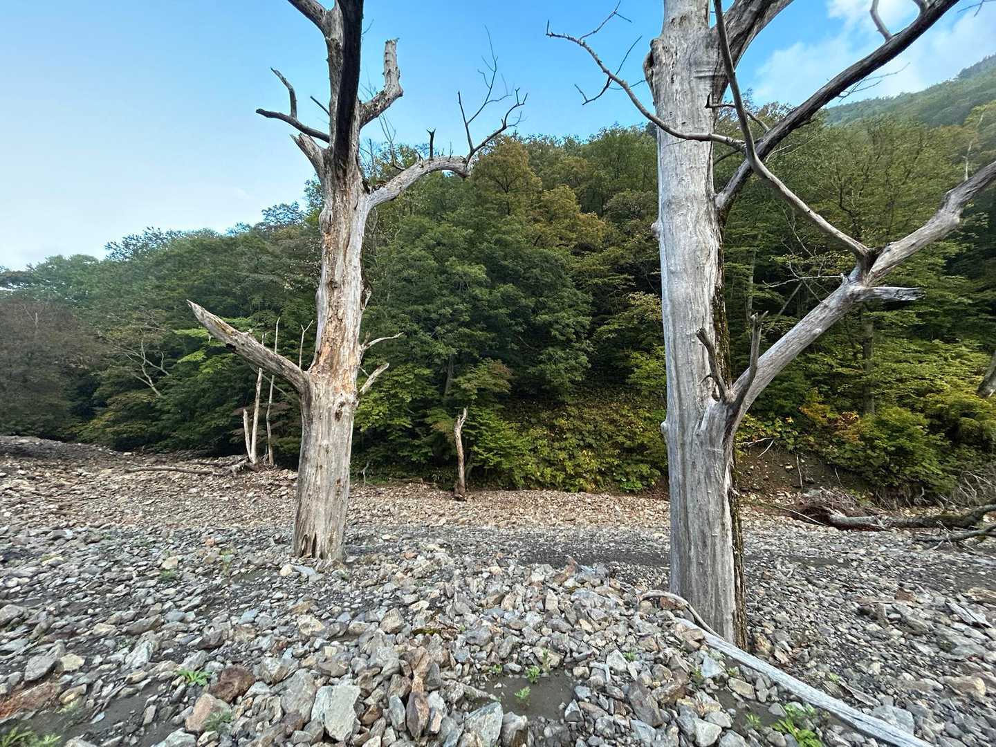 コイカクシュサツナイ岳 往復コースの写真