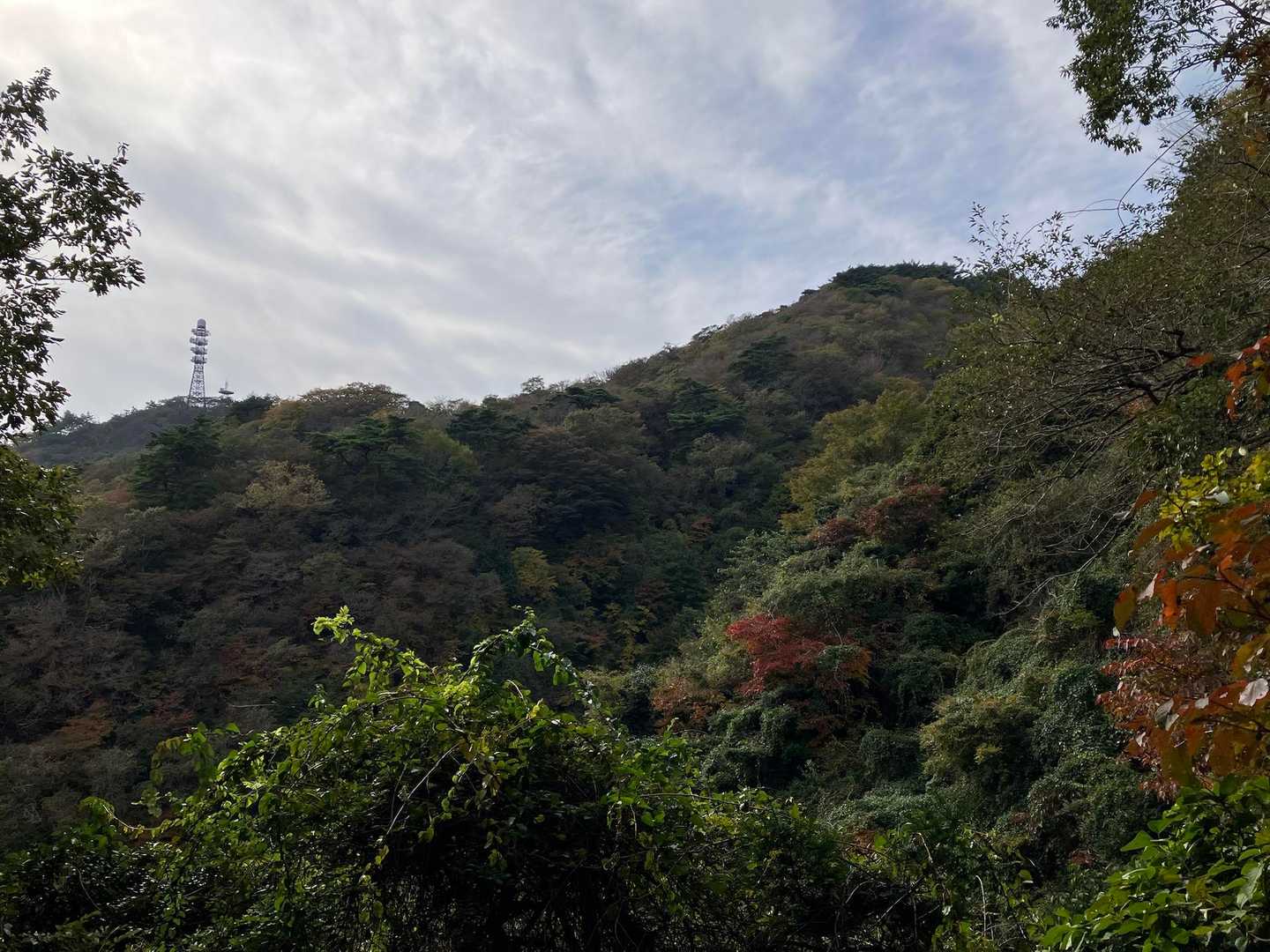六甲山 | 神戸と瀬戸内の海を見渡す大パノラマ。締めのご褒美は有馬の名湯への写真