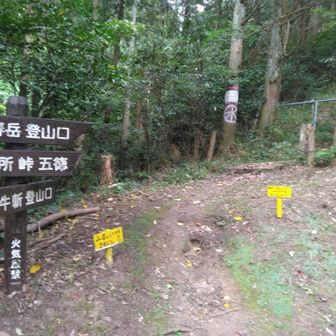 下山直後は二度と登らんとおもておったが、無事に下りてくると楽しい崖登りだったと時間が経つほど思えてきた……。あー、いかんいかん💧怖かった記憶はどこへ？((（‥　）（　‥）))