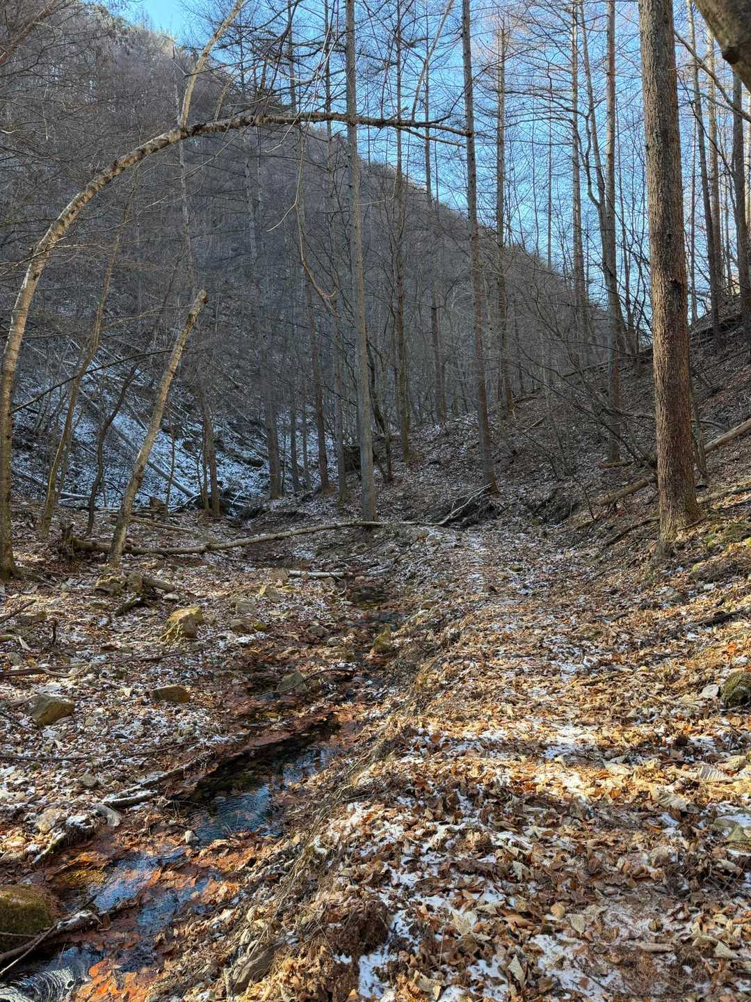 日本で海岸線から一番遠い地点-榊山 往復コースの写真