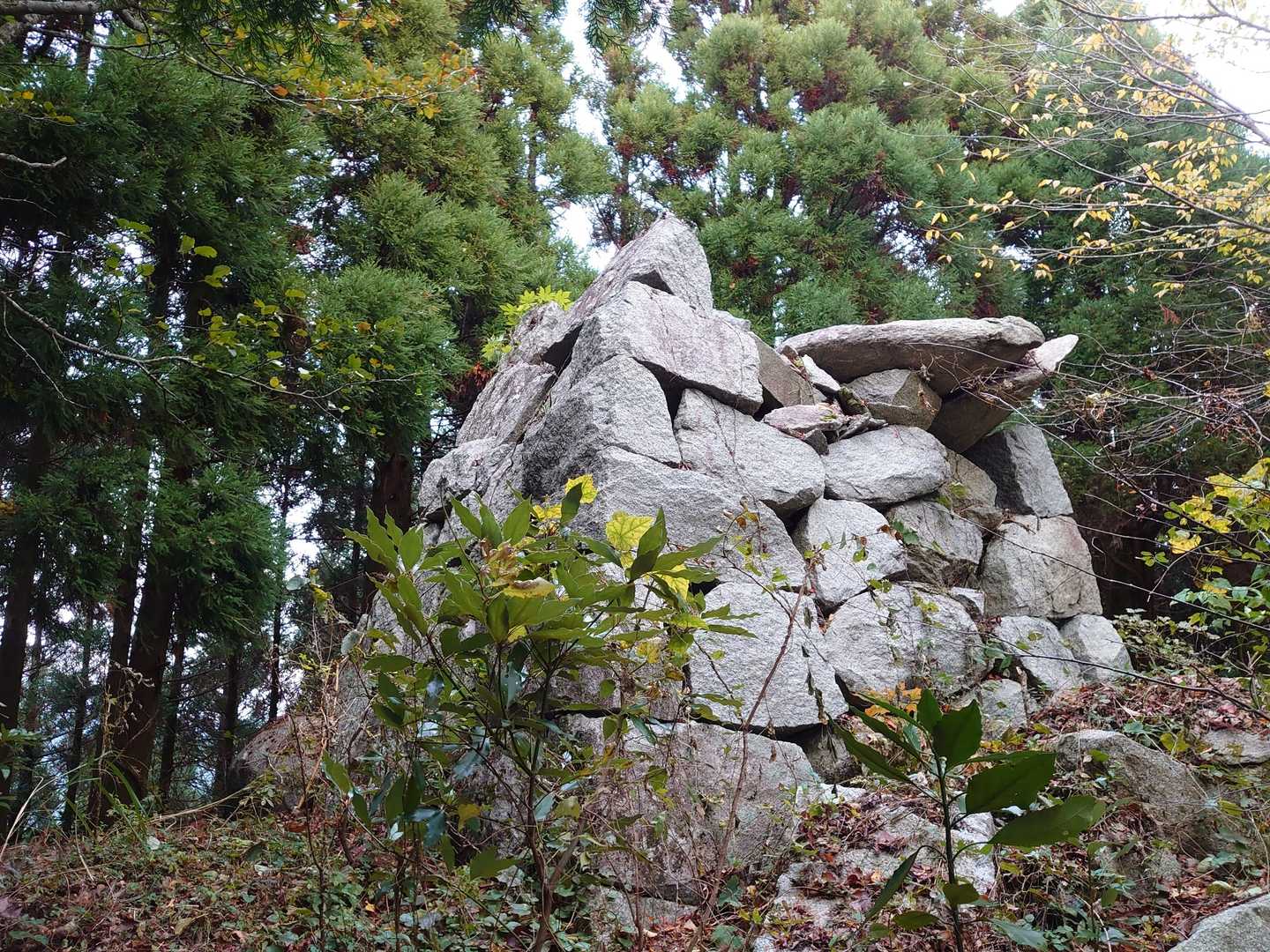 しかし、この石組みは一体何なのでしょうね🤔では、樫原湿原も見てみたいので、急いで戻ります💨