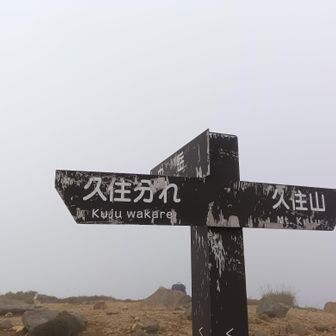 分岐点