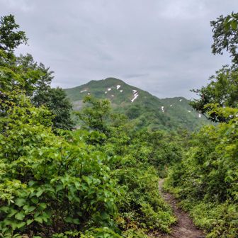 薬師岳が見えてくる