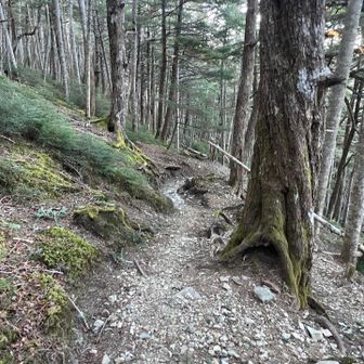 鳳凰山・地蔵岳・観音岳・薬師岳 テクテク(ง ˙ω˙)ว
