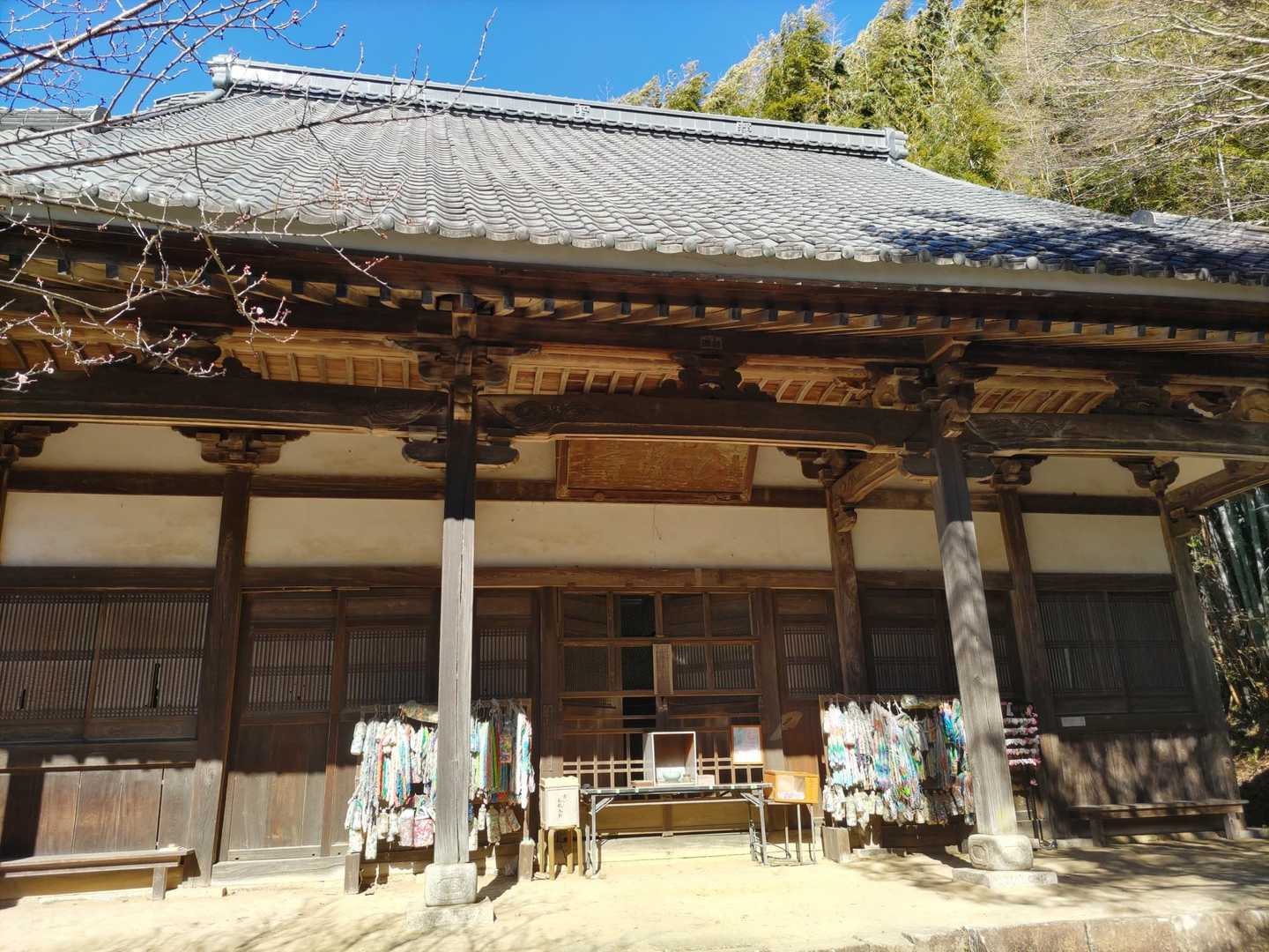 八幡山 周回コースの写真