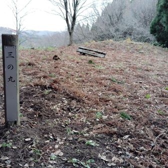 三の丸
佐々成政が、前田利家と戦になるのを恐れて、城を整備したようです。当時の櫓とか残しておいてほしかったなー。あと杉も後から植樹したんだと思うが、杉林は鬱蒼とした雰囲気になるのは残念