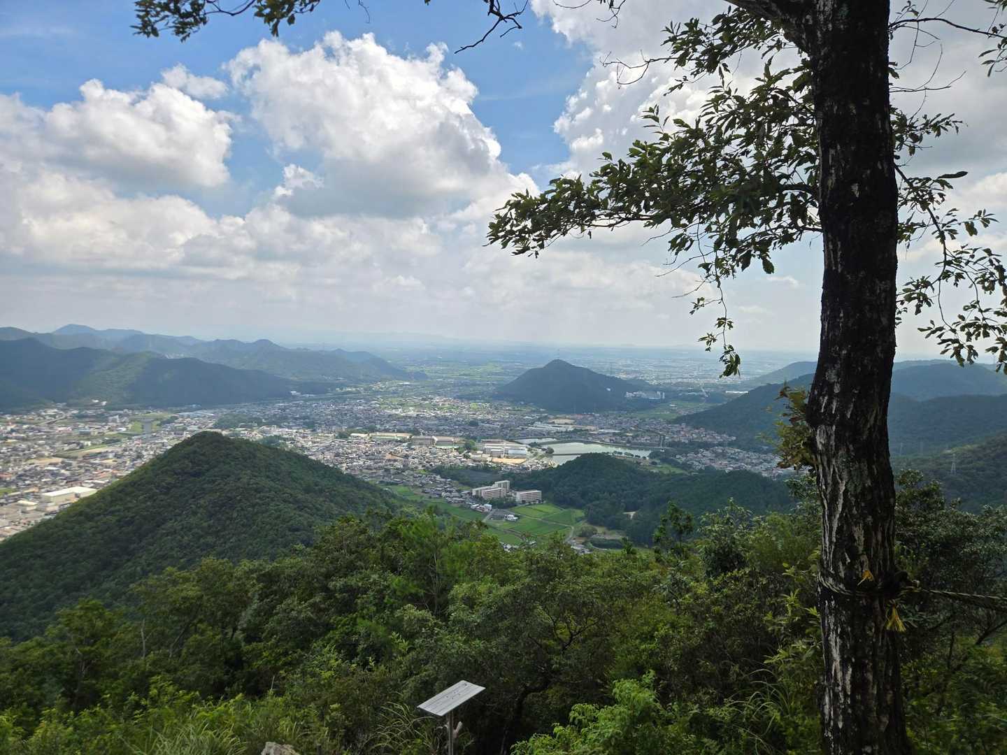 矢筈山 往復コースの写真