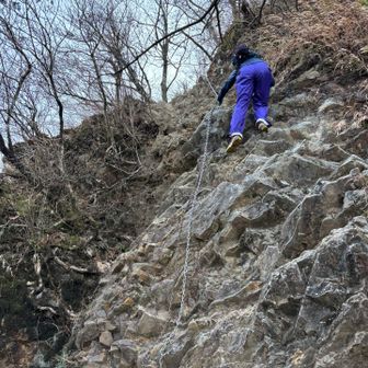 一部始終を見ていたマロン氏が震えながら降りてきたよ🤣ｼﾞｮｳﾀﾞﾝﾃﾞｽ