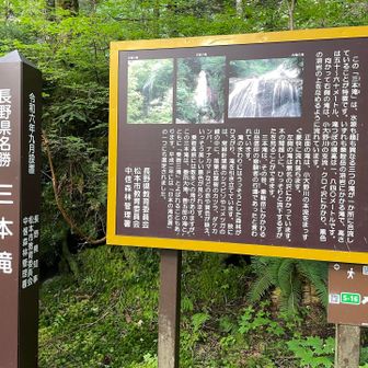 1つ1つの滝の水流が異なっている様です。珍しいです。