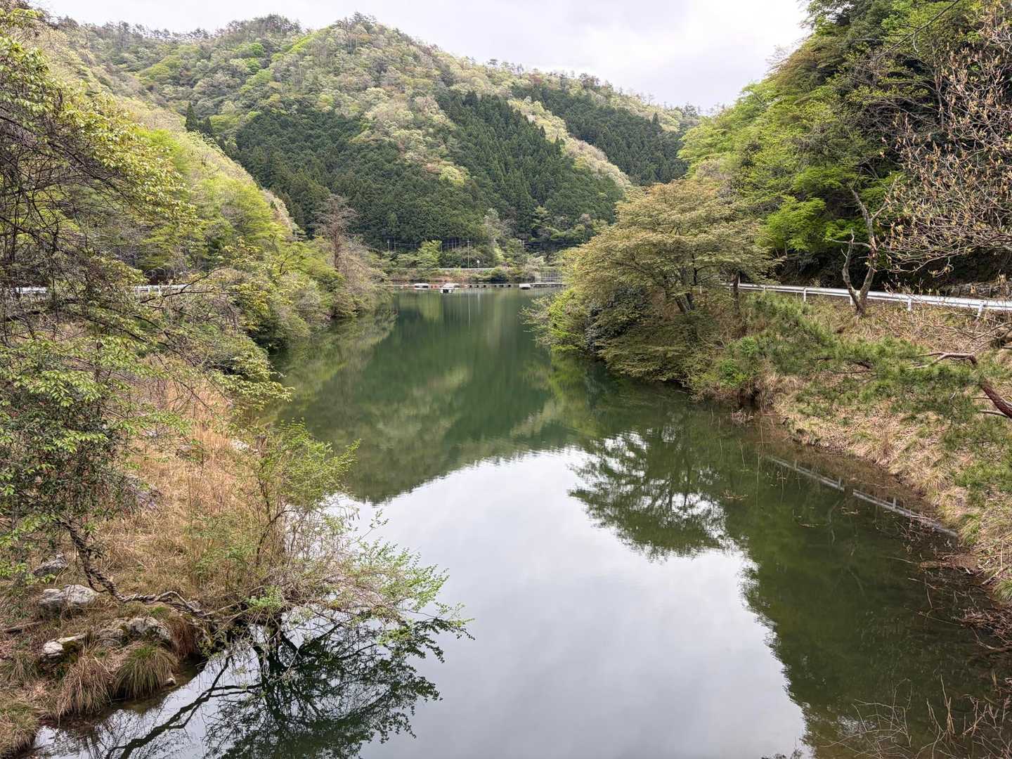 今日は見事に転けたけど、なんとか無事に帰れた事に感謝です😌