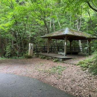 遊歩道と合流
後は舗装路なので小走り
がやはりきつい😰