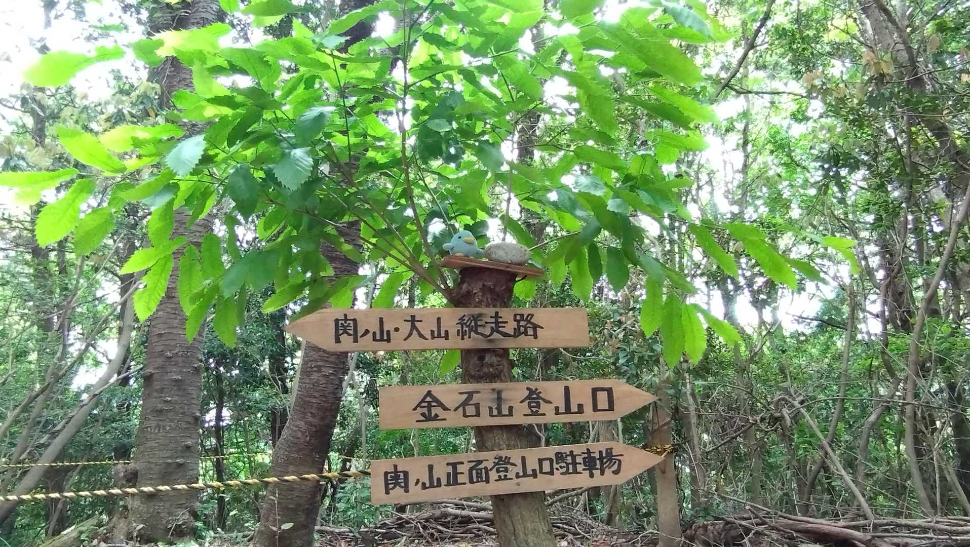 関の山登山口-関の山 往復コースの写真