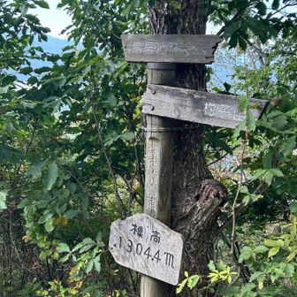 滑る急登を登ると高座山山頂。
たかざすやま、教わらないと読めない…
